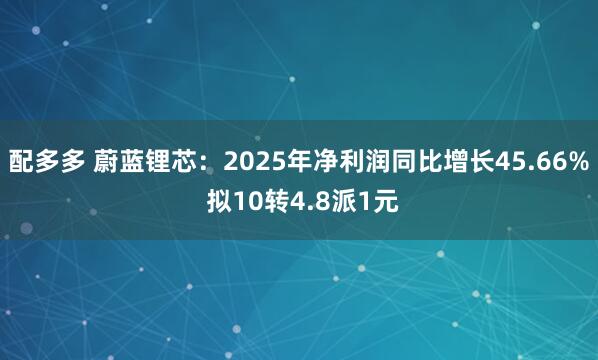 配多多 蔚蓝锂芯：2025年净利润同比增长45.66% 拟10转4.8派1元