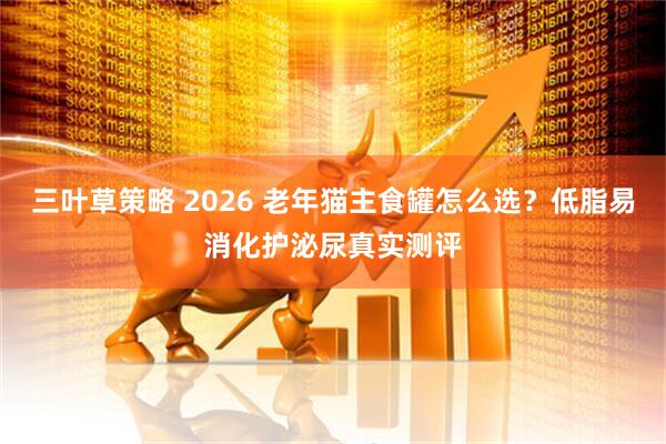 三叶草策略 2026 老年猫主食罐怎么选？低脂易消化护泌尿真实测评